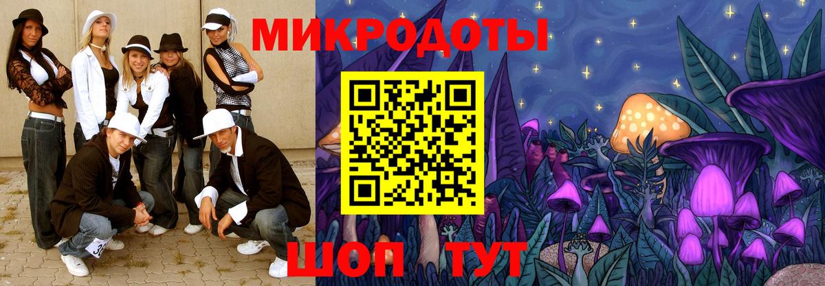 Галлюциногенные грибы прущие грибы Ставрополь