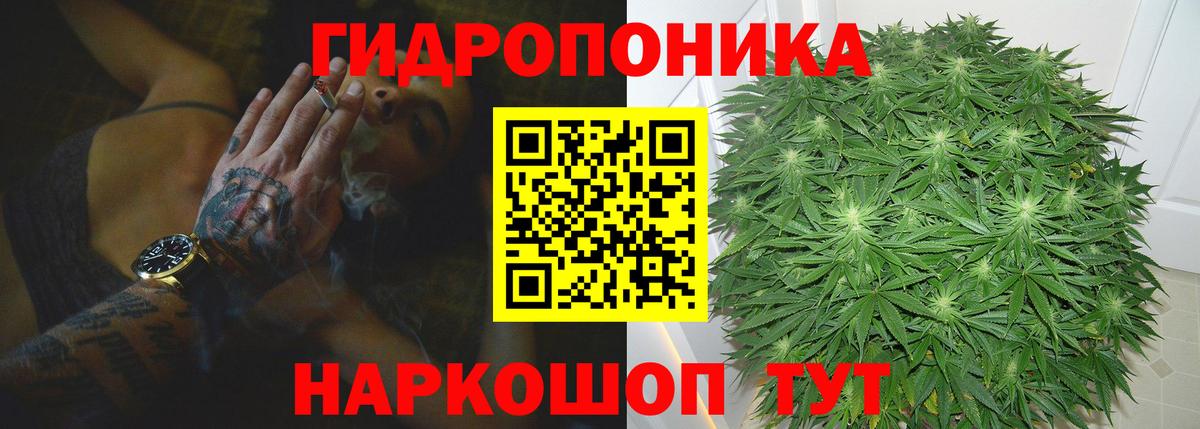 Конопля ГИДРОПОН  Шишки марихуана MAZAR  Ставрополь  Конопля конопля  Вход с VPN 